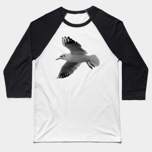 Seagull Baseball T-Shirt